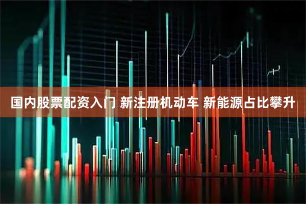 国内股票配资入门 新注册机动车 新能源占比攀升