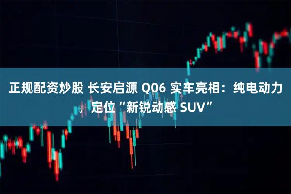 正规配资炒股 长安启源 Q06 实车亮相：纯电动力，定位“新锐动感 SUV”